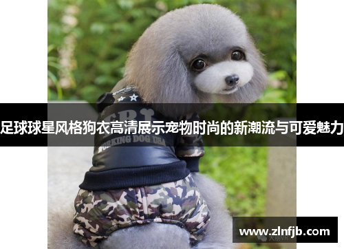 足球球星风格狗衣高清展示宠物时尚的新潮流与可爱魅力