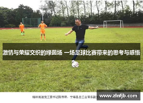 激情与荣耀交织的绿茵场 一场足球比赛带来的思考与感悟